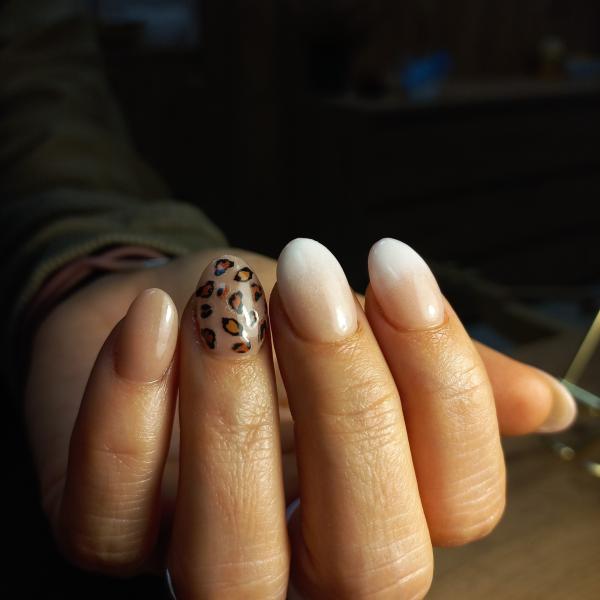 5623554241221059339190478932522031679549588471n