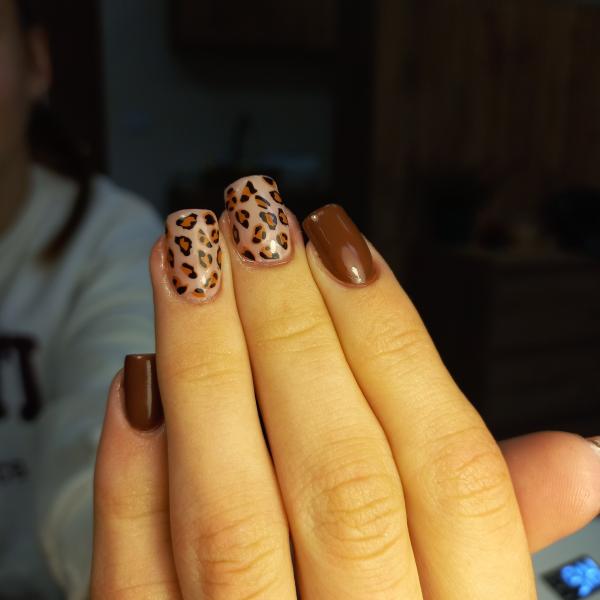 5657629311221059333790478934431663117323320437n